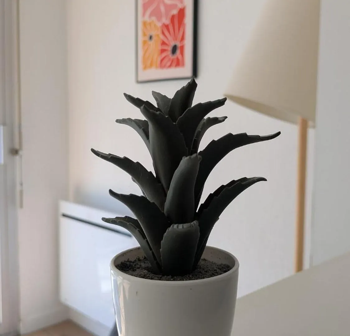 Apartamento T1 Bis Avec Parking A 10 Min A Pied Du Centre Vannes